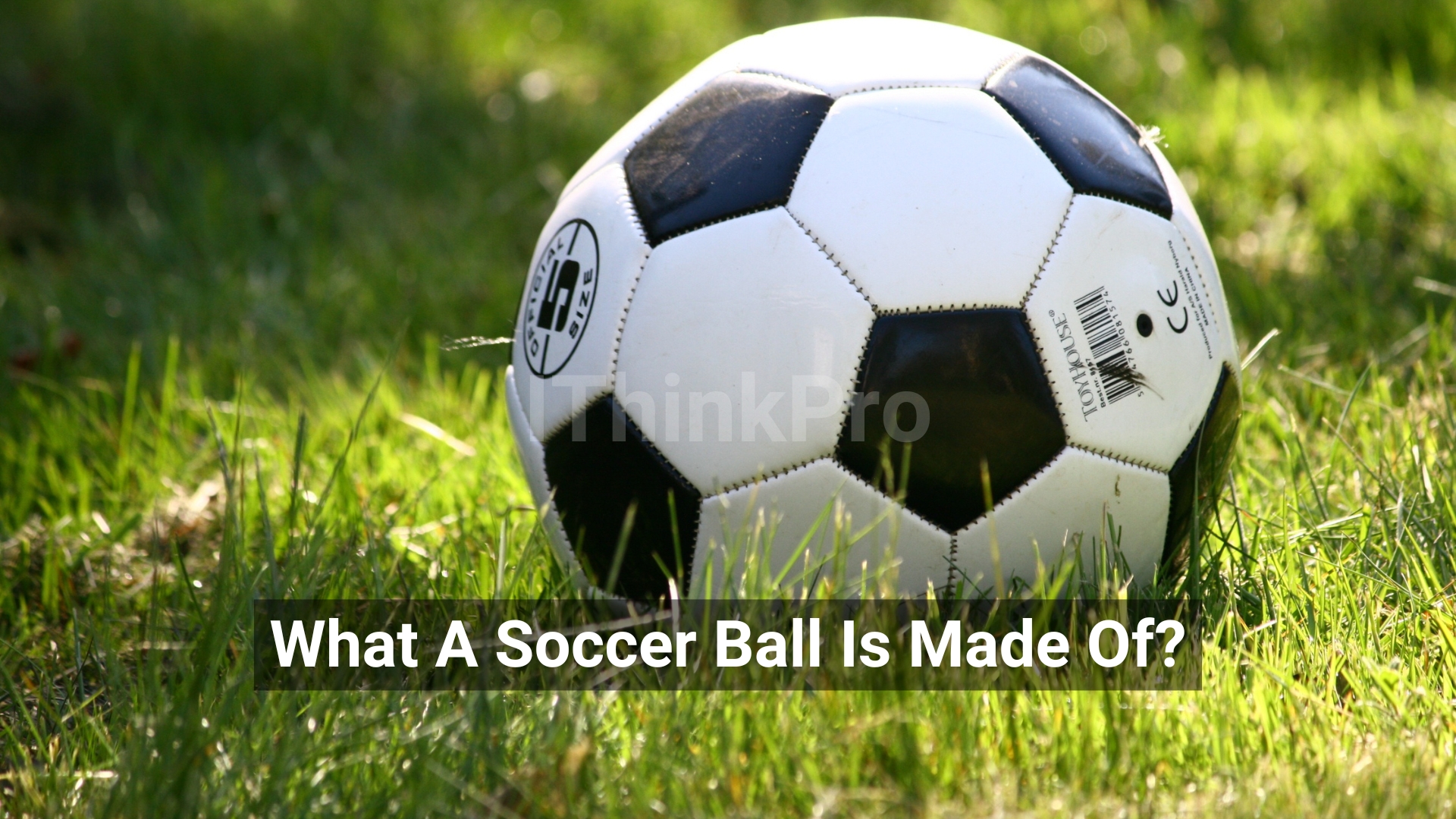 What A Soccer Ball Is Made Of